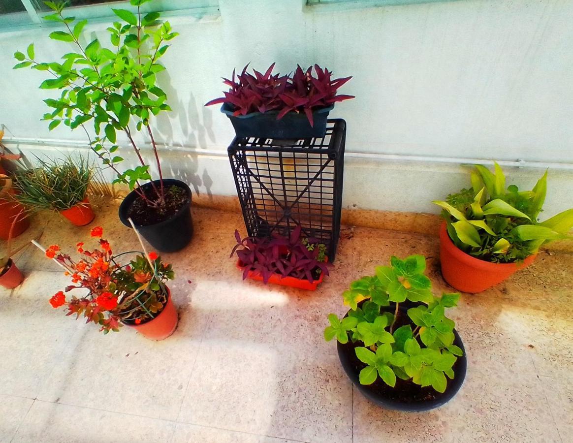 Hostal Pension Mar De Plata ลูโก ภายนอก รูปภาพ